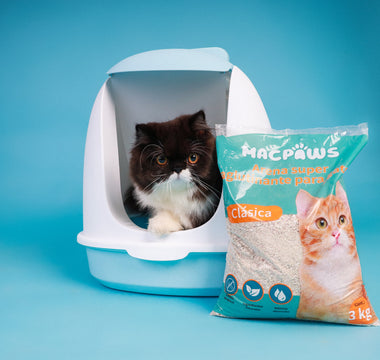 Consejos para Mantener el Arenero de tu Gato Limpio y Fresco