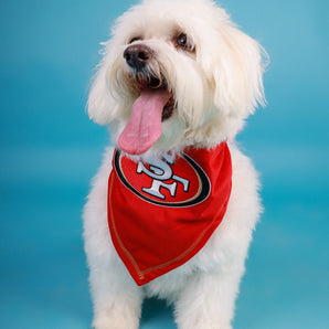 Pañuelo Mascotas San Francisco 49ers