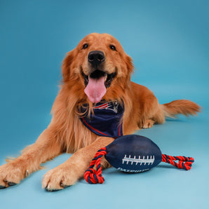 Juguete para Mascotas New England Patriots